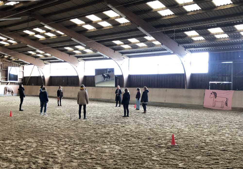 Workshop_HorseSpeak
